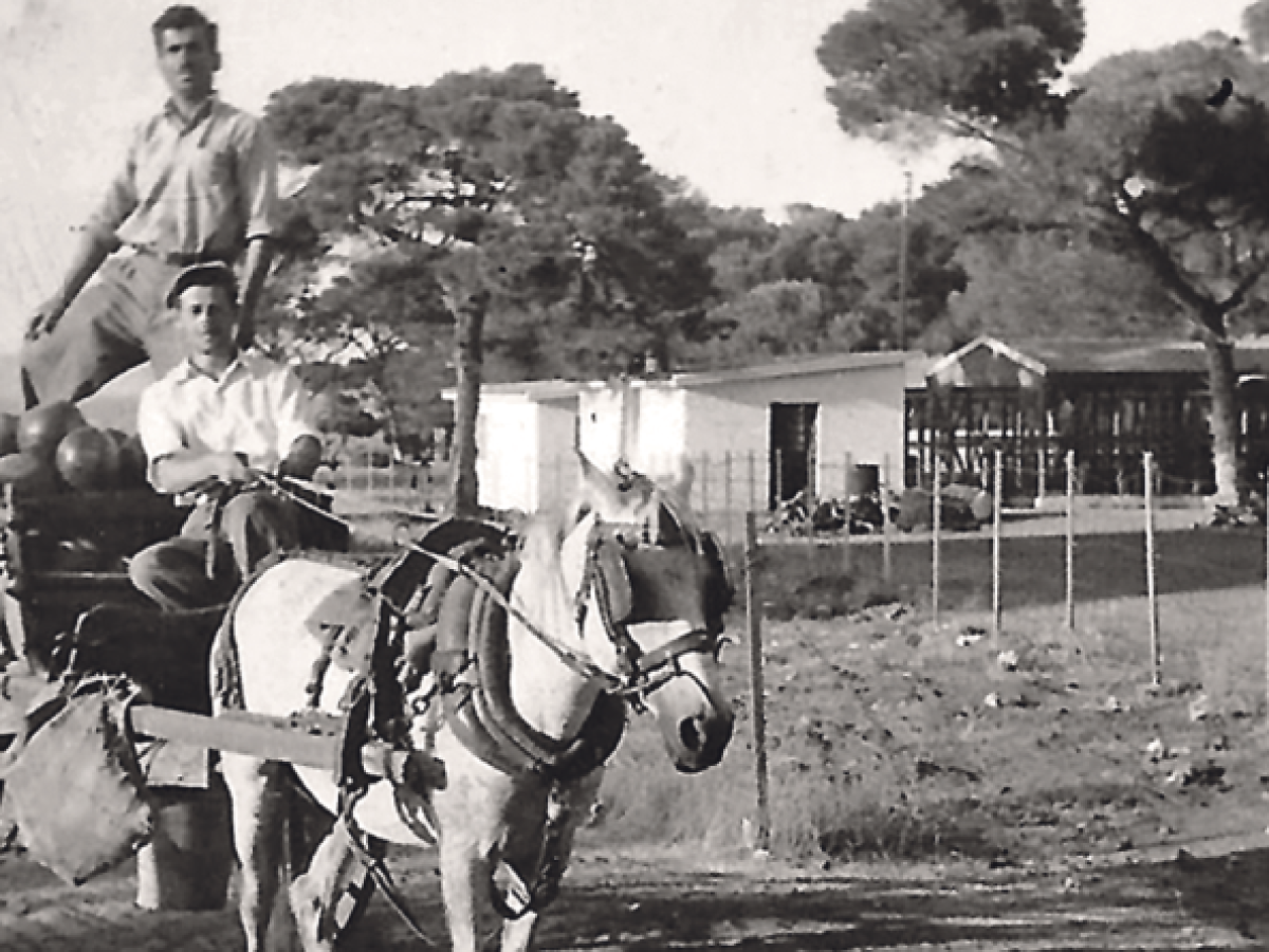 Η Νέα Μάκρη του τότε! Μια διαδρομή από την προσφυγιά στην ακτογραμμή της μνήμης