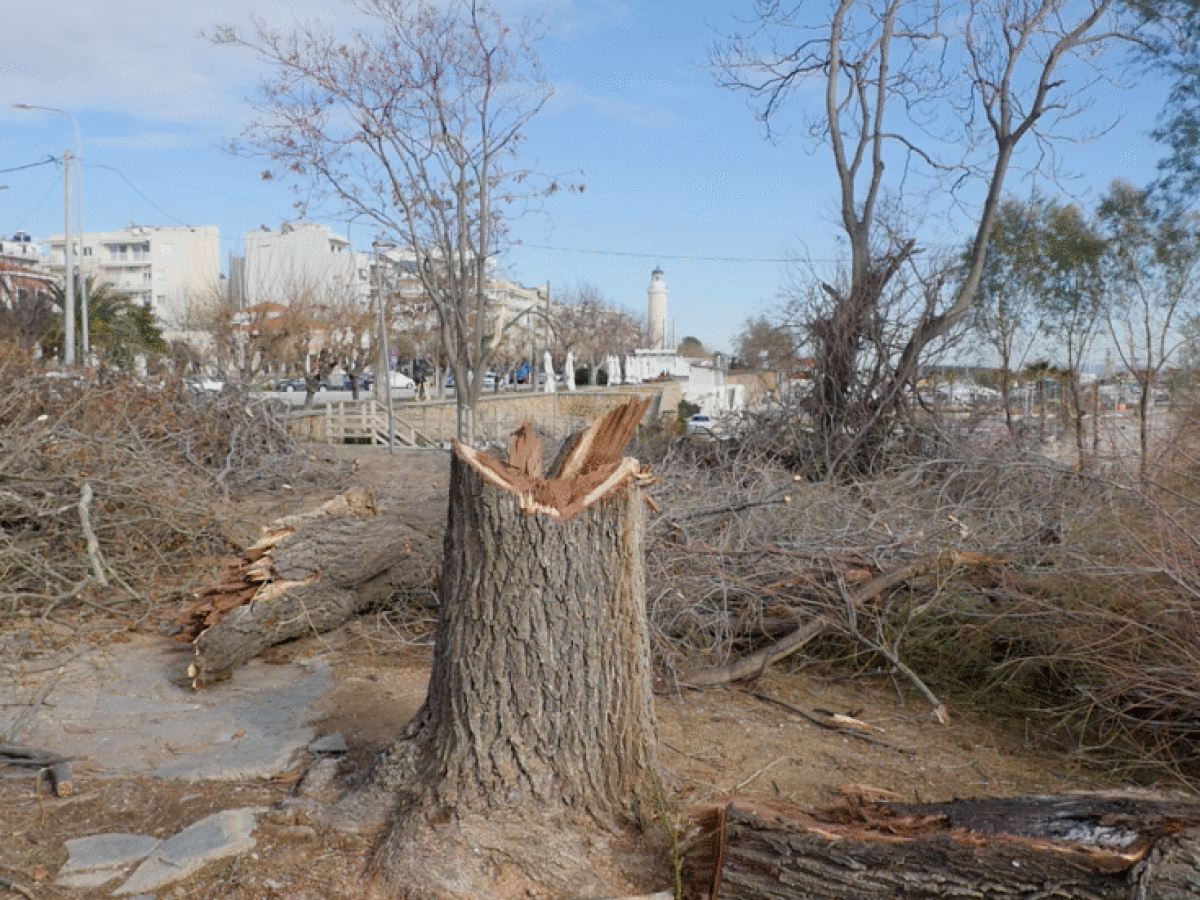 Οι Πρόσκοποι δηλώνουν παρόντες για να ξαναζωντανέψει το Πάρκο «Αργώ»