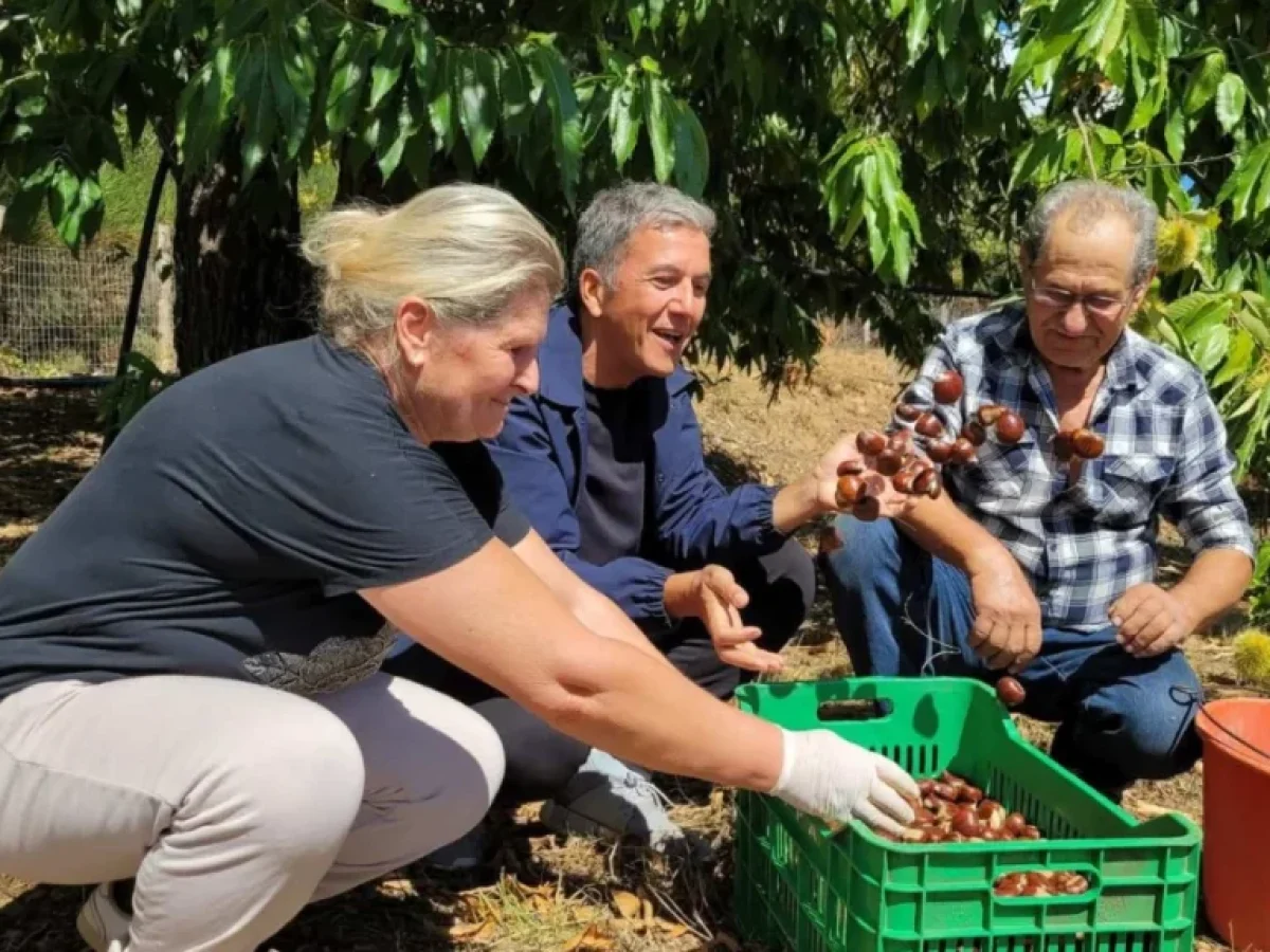 Η Ροδαυγή και τα Πιστιανά ταξιδεύουν σε όλη την Ελλάδα μέσα από τη συχνότητα της ΕΡΤ3