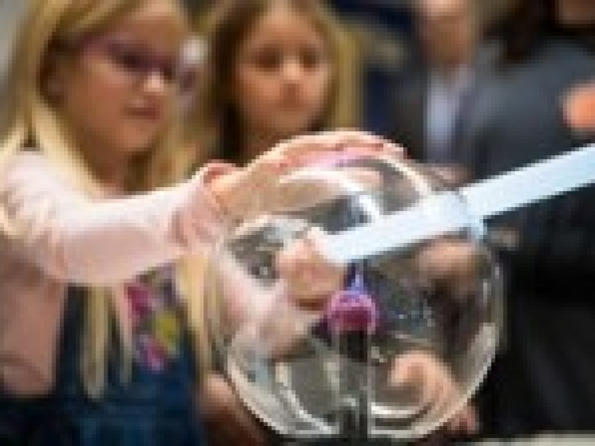 Η ΣΤ΄ τάξη του Δημοτικού Σχολείου Λυγιάς στο 2ο Μαθητικό Συνέδριο «Από τη Μυθολογία στο Διάστημα»