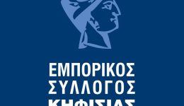 i-thesi-tou-emporikou-sillogou