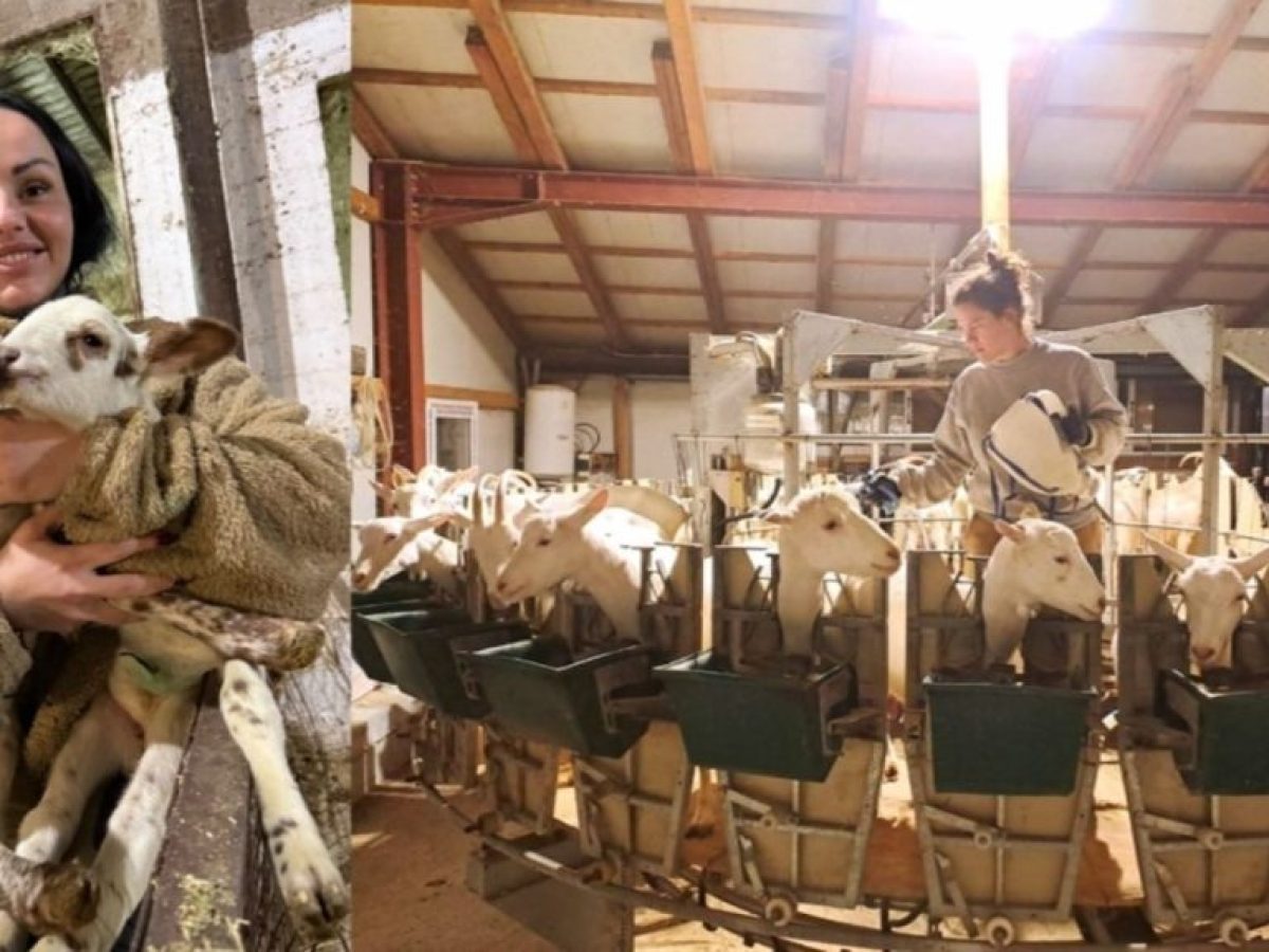 Οι Θεσσαλές αγρότισσες στα μπλόκα: Μια ιστορία δύναμης και περηφάνιας