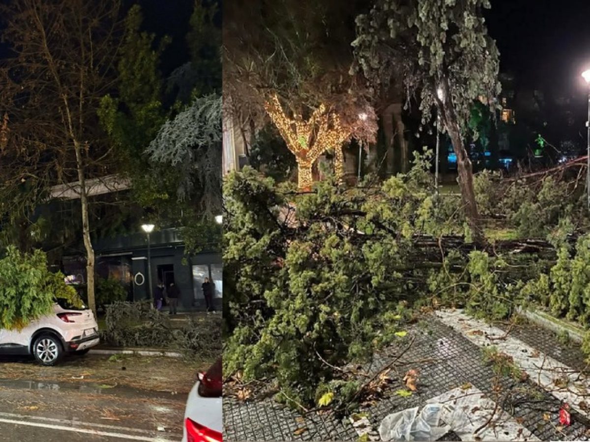 Η Αλεξανδρούπολη μετράει τις πληγές της απ’ τον πρωτοφανή τυφώνα, που προκάλεσε μεγάλες καταστροφές (ΒΙΝΤΕΟ)