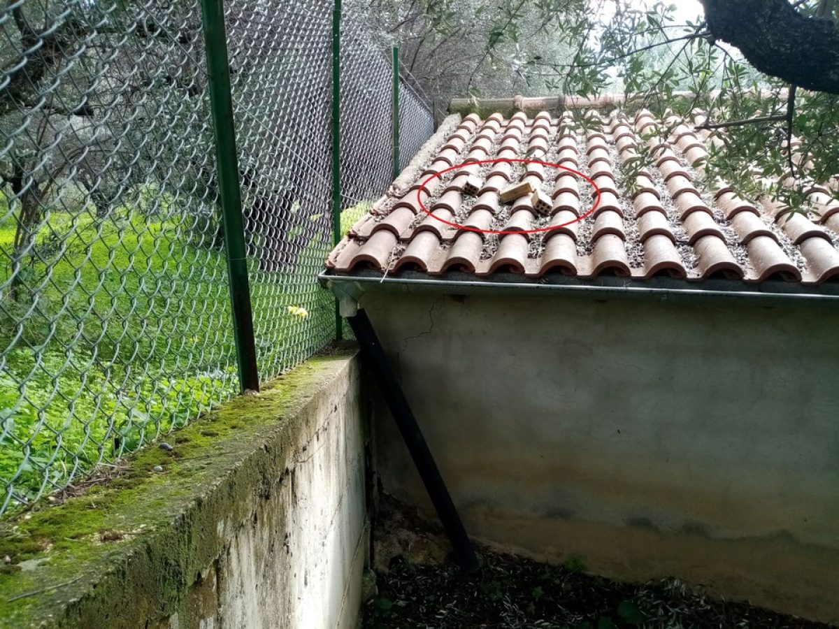 Ιδιοκτησίες στον Ρωμανό Πατρών έγιναν για μια ακόμα φορά στόχος εισβολέων