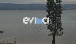 ikones-pou-sigkinoun-glaropoula-ekanan
