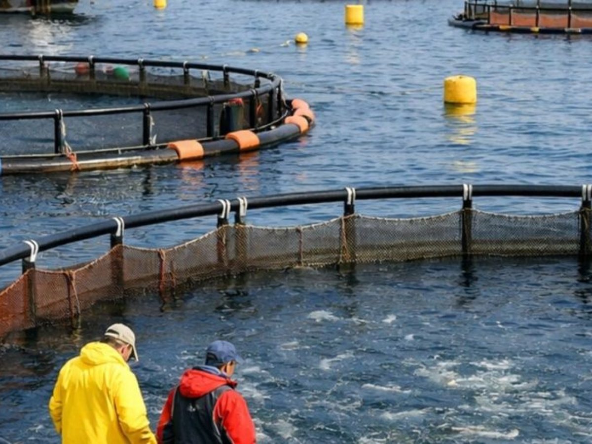 Ημερίδα στη Δυτική Ελλάδα για την Ιχθυοκαλλιέργεια και την τοπική ανάπτυξη