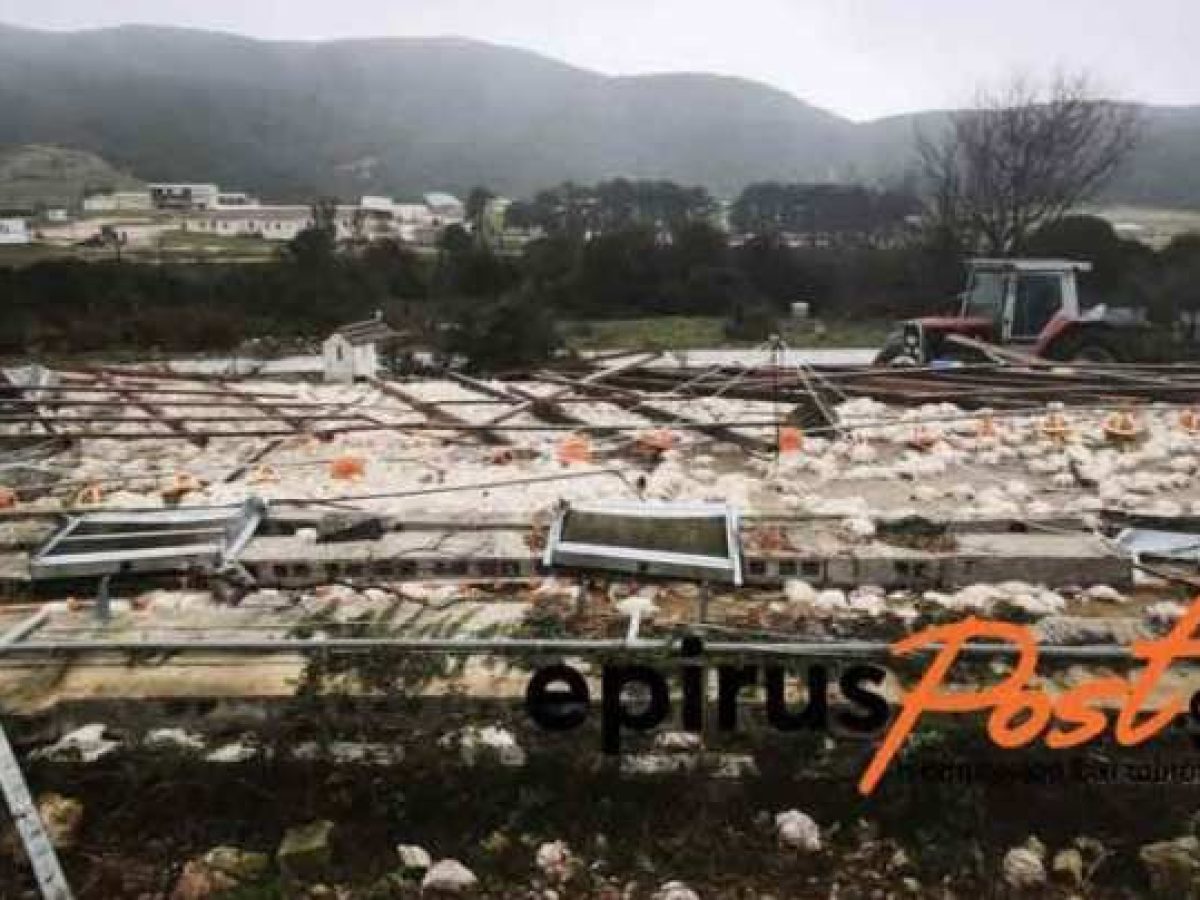 Ιωάννινα: Ισχυρός ανεμοστρόβιλος ισοπέδωσε πτηνοτροφική μονάδα – Νεκρά 40.000 κοτόπουλα