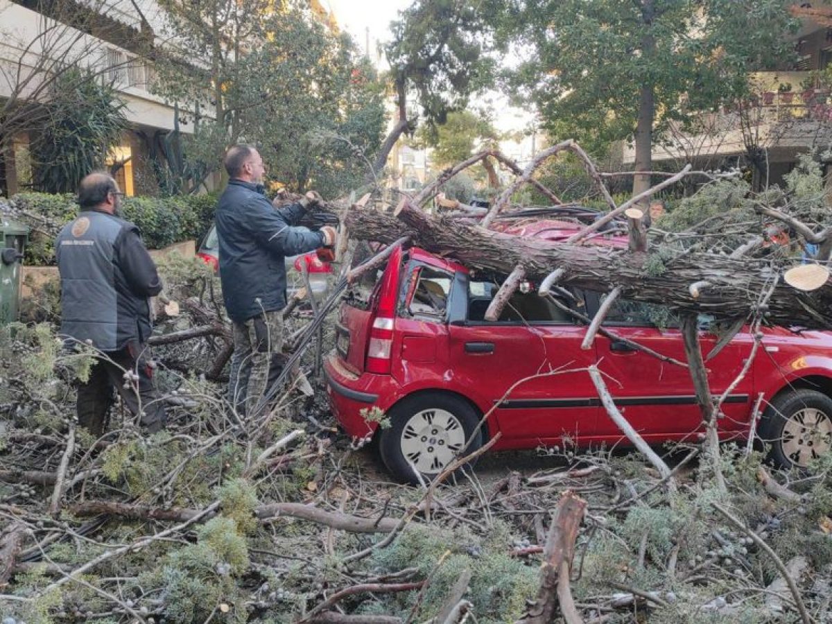 Ηράκλειο Αττικής – Σοβαρές ζημιές προκάλεσε πτώση δέντρου από τον αέρα – ΒΙΝΤΕΟ