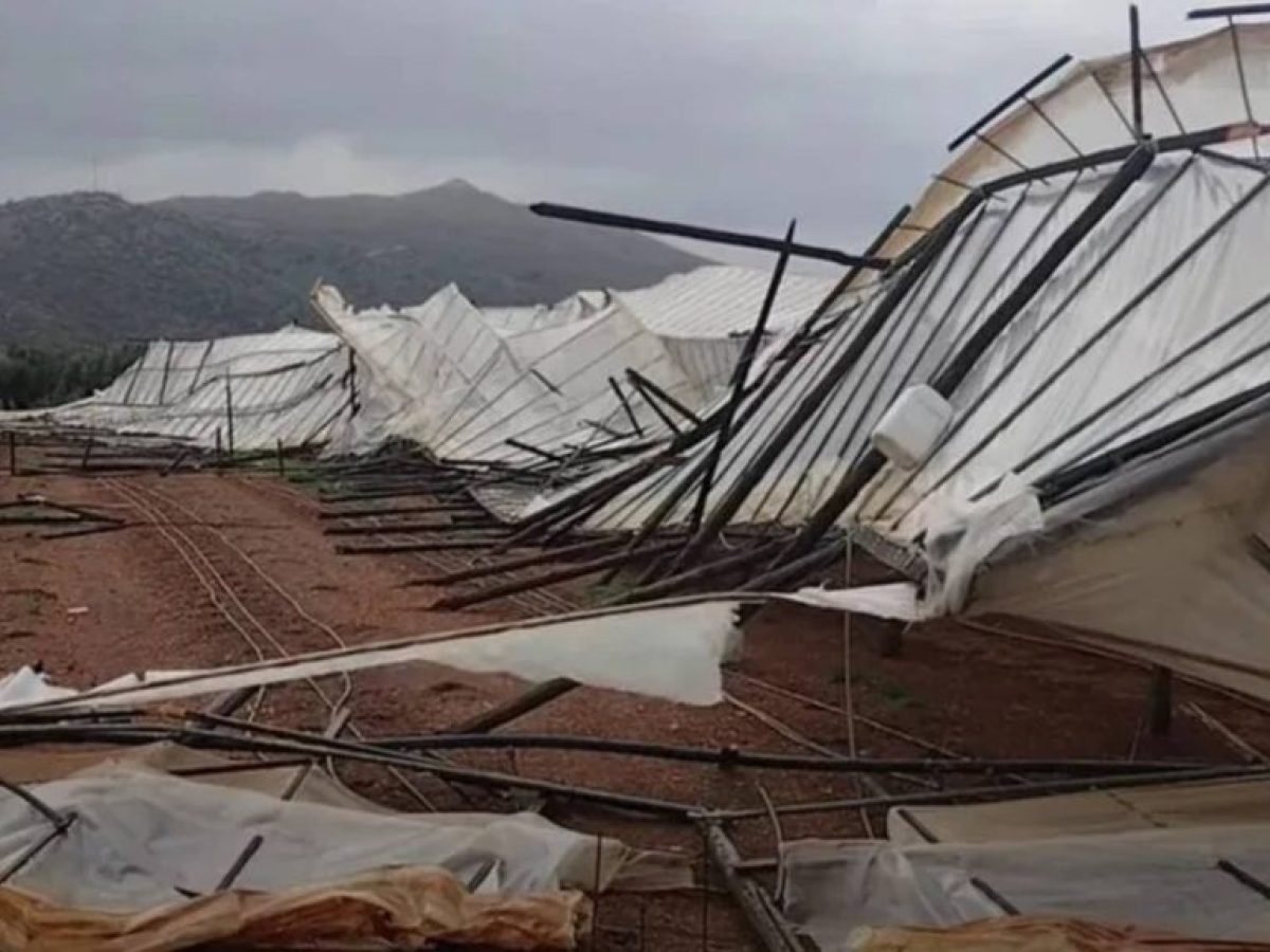 Ισχυροί άνεμοι στην Κρήτη: Κατέρρευσαν θερμοκήπια στην Ιεράπετρα – Διακοπή κυκλοφορίας από πτώσεις δένδρων