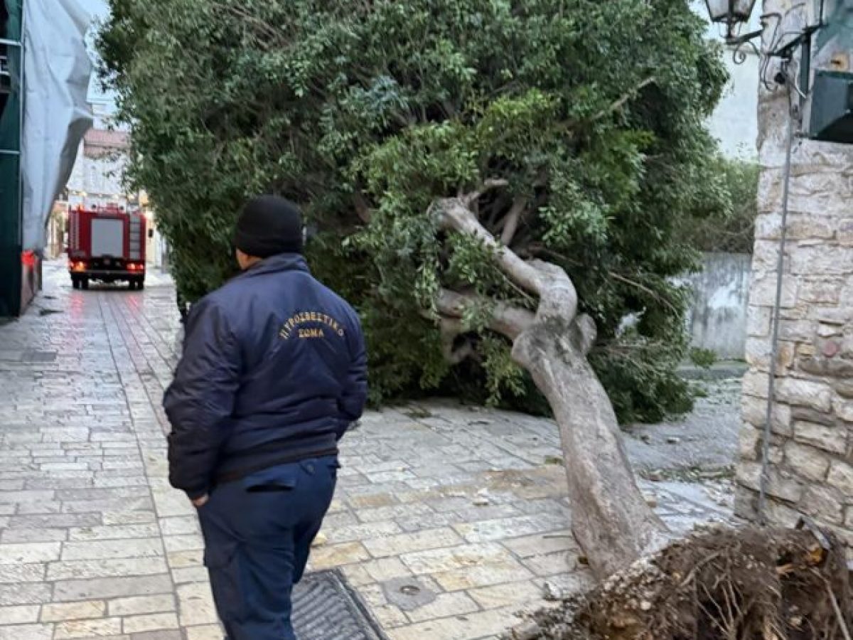 Ισχυροί άνεμοι ξερίζωσαν δέντρα στο Μεσολόγγι