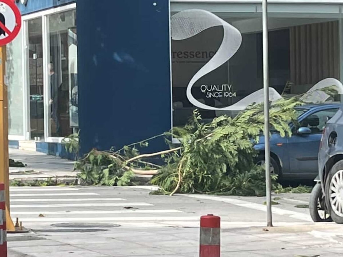 Ισχυροί νοτιάδες «σαρώνουν» την Κρήτη και ρίχνουν δέντρα και κλαδιά – Έκτακτη ανακοίνωση της Περιφέρειας για τη σκόνη (photos)