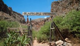 ixeres-oti-iparchi-farangi-ton