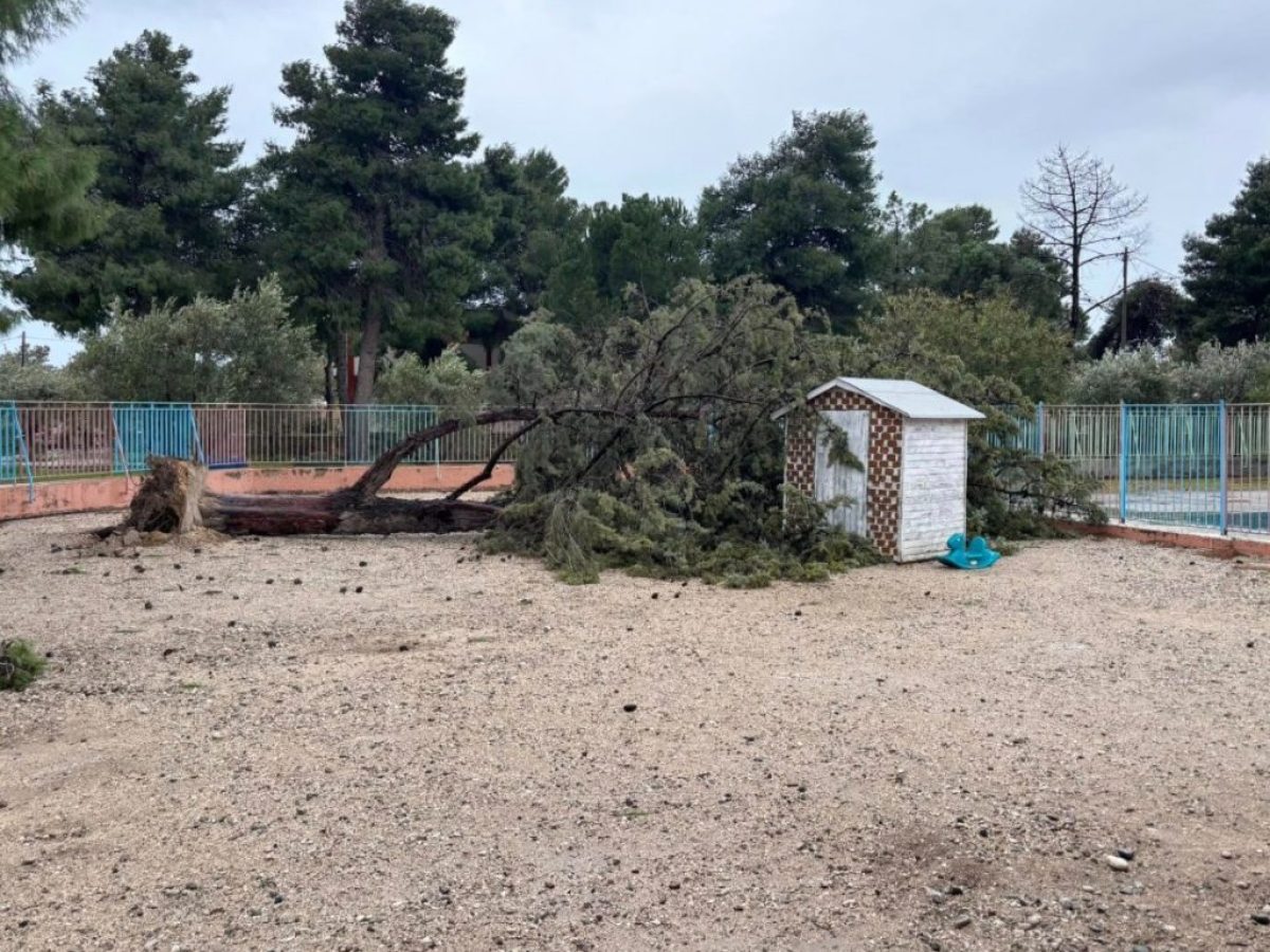 Κακοκαιρία-Μεσολόγγι: 327 βλάβες στο δίκτυο του ΔΕΔΔΗΕ, χωρίς ρεύμα αρκετές περιοχές