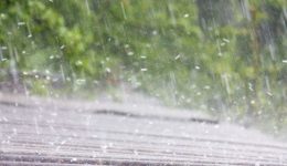 kakokeria-simera-stin-Αrgolida-entones