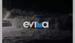 kakokeria-stin-evvia-maniasmena-kimata