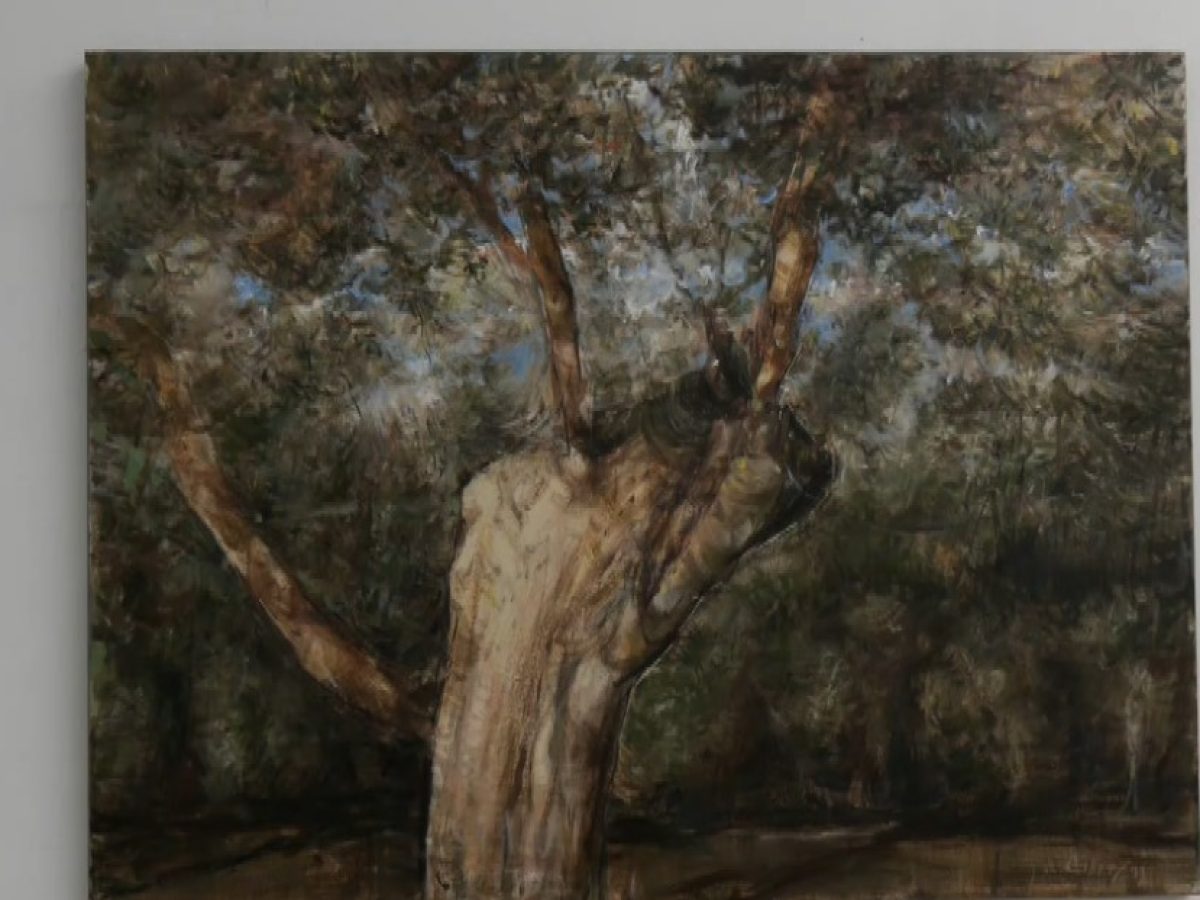 Καλαμάτα: «Χρώματα της Μεσσηνίας» – Έκθεση ζωγραφικής του Ανδρέα Δεβετζή