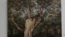 kalamata-chromata-tis-messinias-–