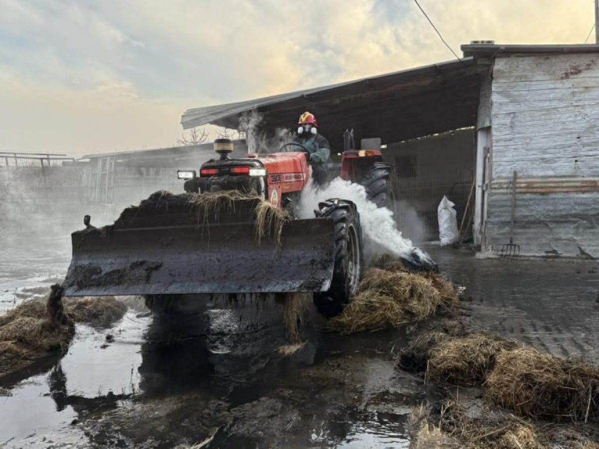 Καλαμάτα: Μεγάλη κινητοποίηση της Πυροσβεστικής για φωτιά σε στάβλο στην Μπιρμπίτα