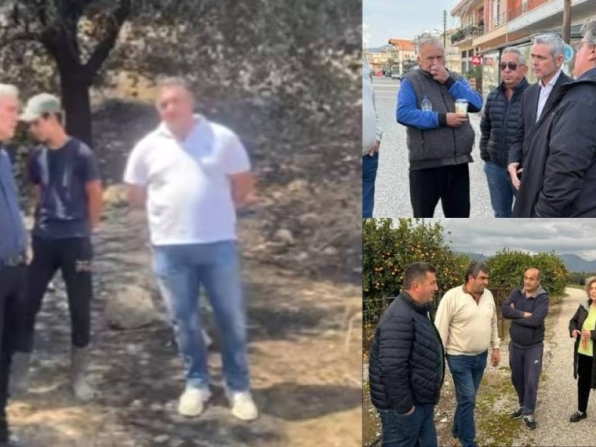 Καλές οι επισκέψεις των κυβερνητικών βουλευτών στα περιβόλια  με τις αποζημειώσεις από τις πυρκαγιές τι γίνεται;