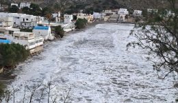kalimnos-Άgria-omorfia-sta-linaria