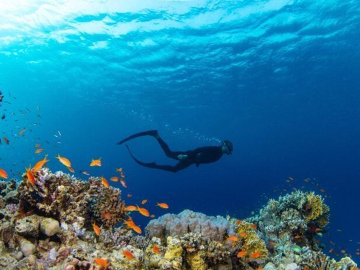 Καταδυτικός τουρισμός: Έγκριση σχεδίων ανάπτυξης  σε Πάρο και Μήλο