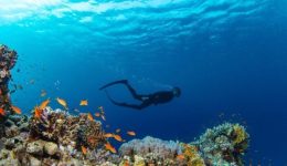 kataditikos-tourismos-egkrisi-schedion-anaptixis