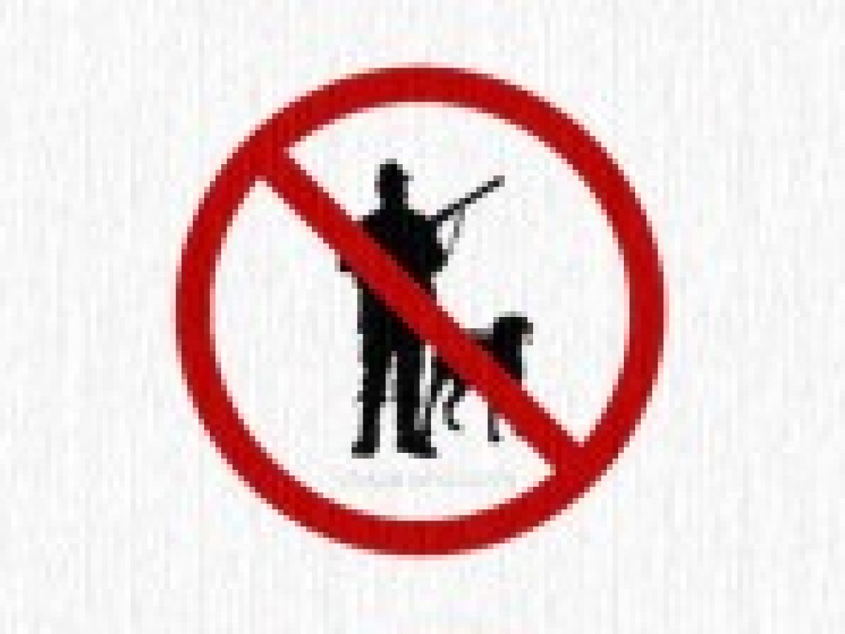 Καταγγελία για παράνομο κυνήγι αγριόπαπιων στην λιμνοθάλασσα της Λευκάδας