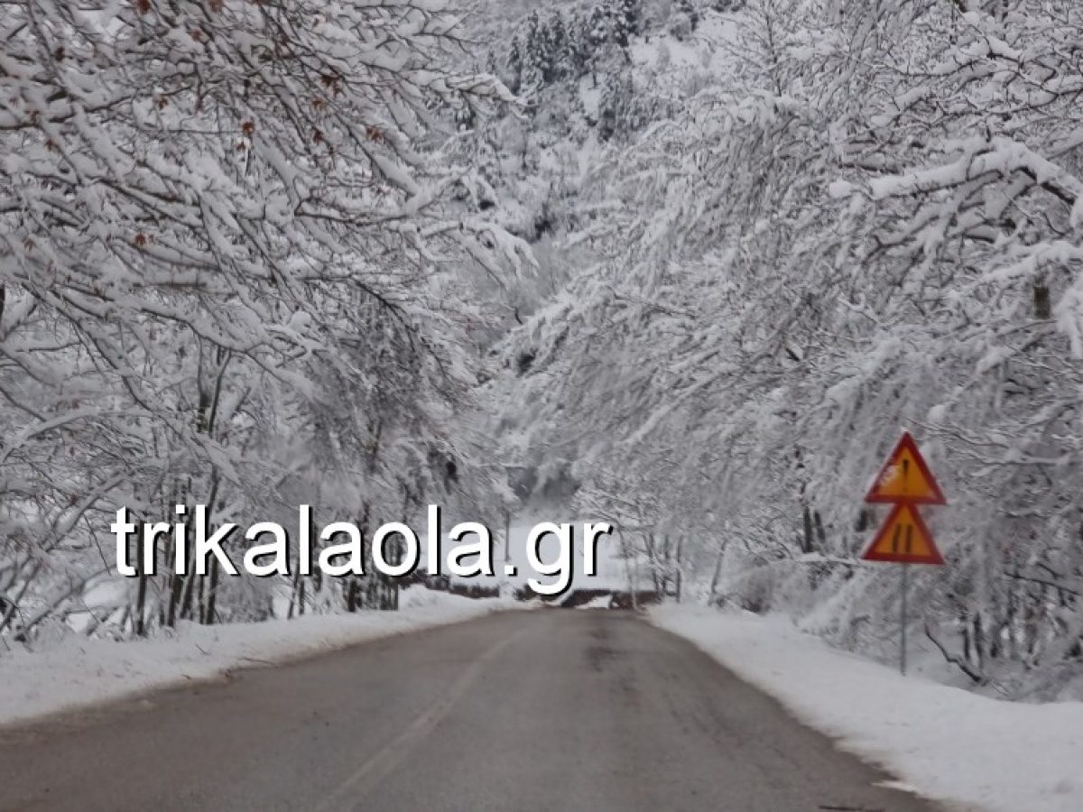 Καταγγελία για το κλείσιμο των σχολείων του Δ. Τρικκαίων λόγω κακοκαιρίας την Τετάρτη 21 Ιανουαρίου 2026