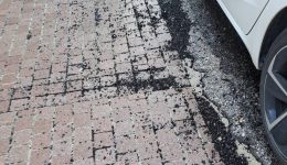 kefalonitis-onos-megalo-diazigio-sto