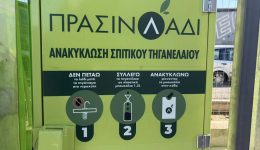 kerkira-thetiki-i-antapokrisi-ton