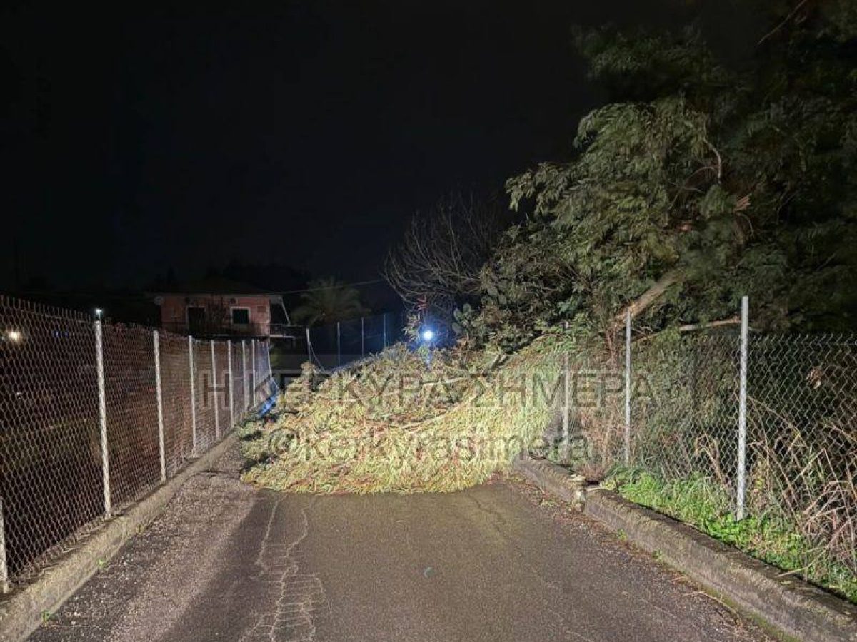 Κέρκυρα: Απελευθερώθηκε ο δρόμος προς Αλεπού μετά την επέμβαση της Π.Υ. (Upd)