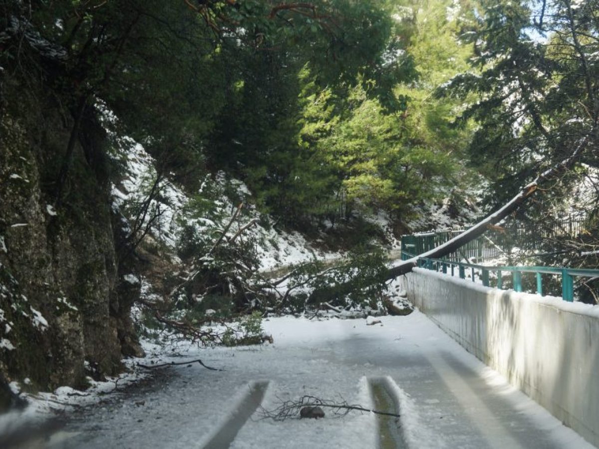 Καιρός: Έκτακτο δελτίο ΕΜΥ – Έρχεται έντονο κύμα ψύχους