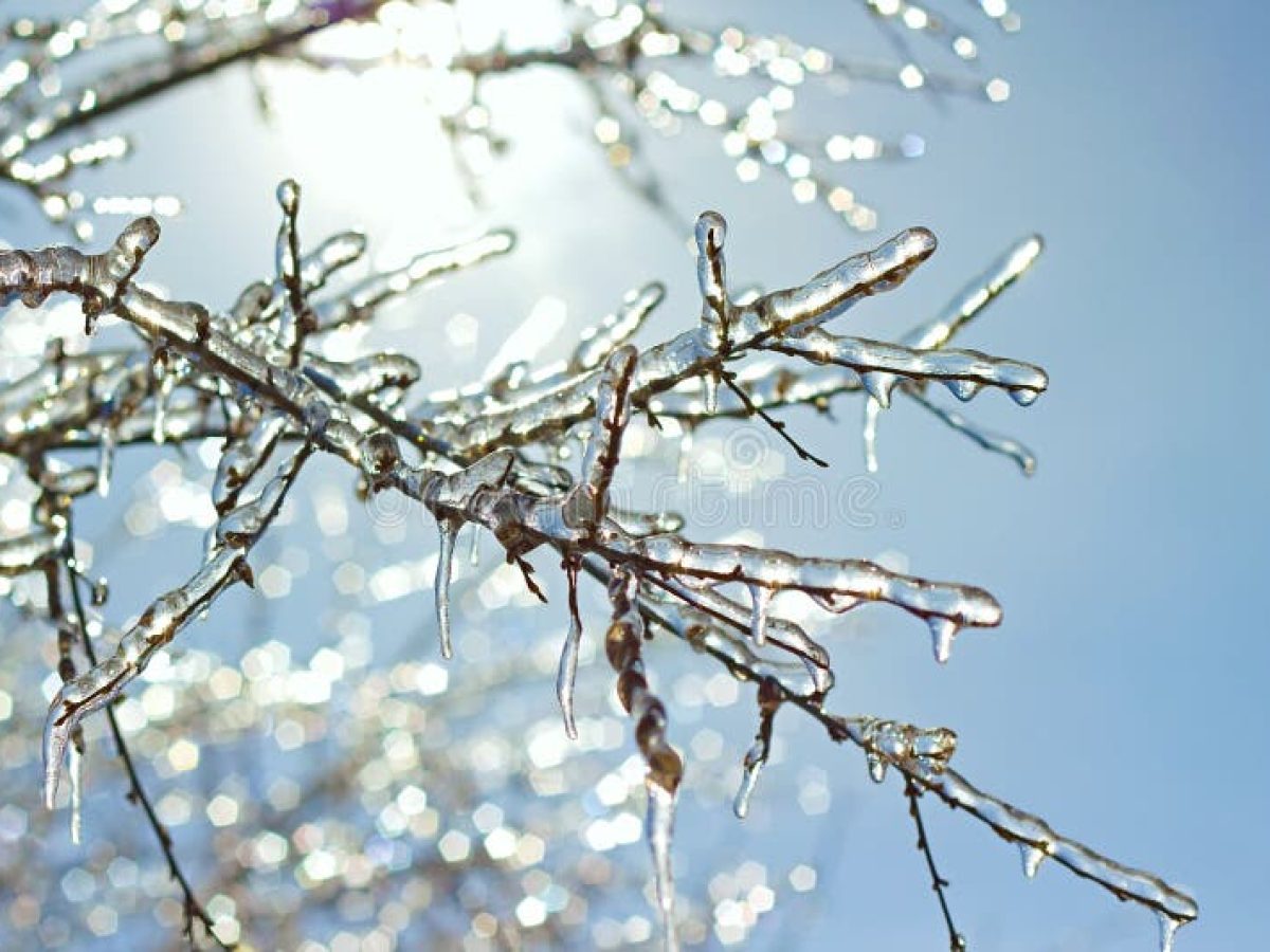 Καιρός: Έκτακτο δελτίο ΕΜΥ – Έρχεται έντονο κύμα ψύχους