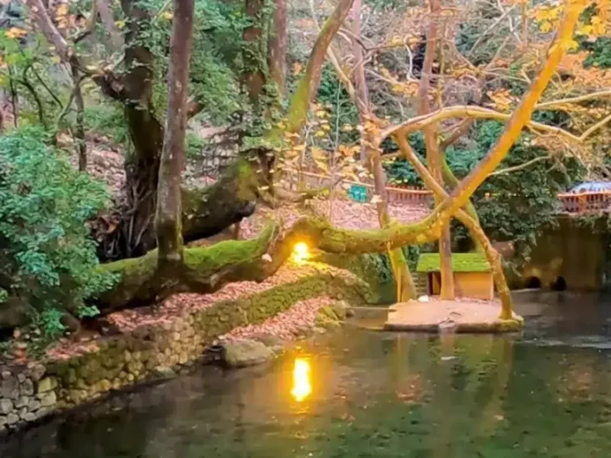 Κόντρα στο ρεύμα: Ένα χωριό στην Πελοπόννησο βγαλμένο σαν από παραμύθι!