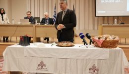 kopi-pitas-sto-periferiako-simvoulio