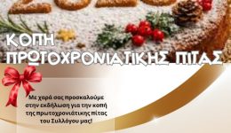 kopi-protochroniatikis-pitas-apo-ton-1