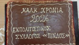 kopi-protochroniatikis-pitas-tou-ekpolitistikou-2