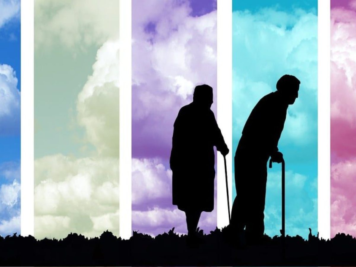 Κοπή της πίτας, Γενική Συνέλευση και Εκλογές στο Σωματείο Συνταξιούχων ΙΚΑ Μήλου