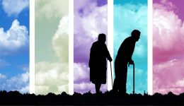 kopi-tis-pitas-geniki-sinelefsi