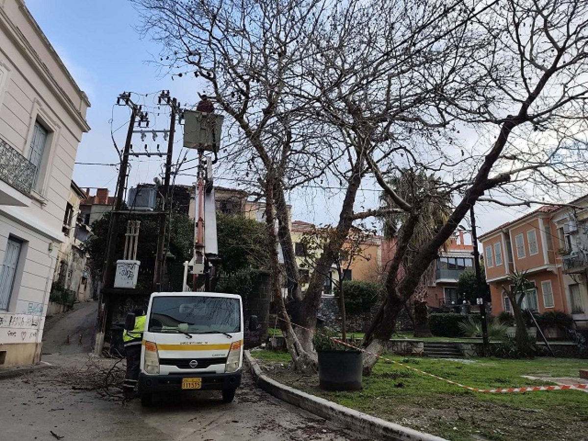 Κόπηκαν–επιτέλους–τα ξερά τμήματα του γεροπλάτανου στην πλατεία του Αι Γιάννη του Αρμένη