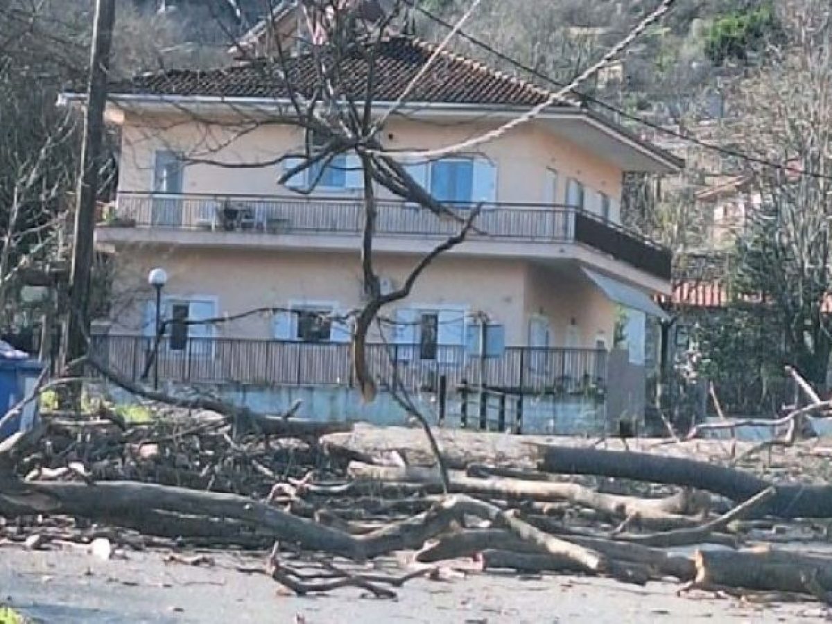 &Kappa;&rho;&alpha;&nu;ί&omicron;&upsilon; &tau;ό&pi;&omicron;&sigmaf; &eta; &Pi;&iota;ά&lambda;&epsilon;&iota;&alpha;! &Alpha;&pi;ό &Tau;ύ&chi;&eta; &Delta;&epsilon;&nu; &Theta;&rho;&eta;&nu;ή&sigma;&alpha;&mu;&epsilon; &Theta;ύ&mu;&alpha;&tau;&alpha;: &Eta; &Epsilon;&gamma;&kappa;&lambda;&eta;&mu;&alpha;&tau;&iota;&kappa;ή &Alpha;&mu;έ&lambda;&epsilon;&iota;&alpha; &tau;&omicron;&upsilon; &Delta;. &Pi;ύ&lambda;&eta;&sigmaf;, &laquo;&Lambda;&upsilon;&gamma;ί&zeta;&epsilon;&iota;&raquo; &tau;&alpha; &delta;έ&nu;&tau;&rho;&alpha;