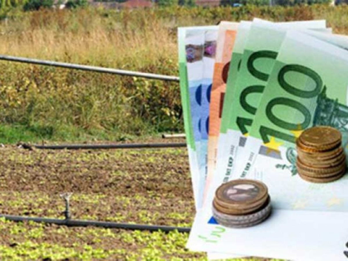 &Kappa;&rho;ή&tau;&eta; &ndash; &Omicron;&Pi;&Epsilon;&Kappa;&Epsilon;&Pi;&Epsilon;: &Alpha;&gamma;&rho;ό&tau;&eta;&sigmaf; &epsilon;&pi;έ&sigma;&tau;&rho;&epsilon;&psi;&epsilon; 20.000 &epsilon;&upsilon;&rho;ώ &pi;&omicron;&upsilon; έ&lambda;&alpha;&beta;&epsilon; &pi;&alpha;&rho;ά&nu;&omicron;&mu;&alpha; &alpha;&pi;ό &epsilon;&pi;&iota;&delta;&omicron;&tau;ή&sigma;&epsilon;&iota;&sigmaf;