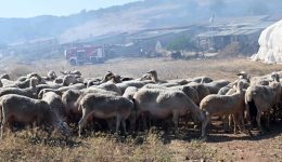 kriti-paratinonte-ta-proliptika-metra