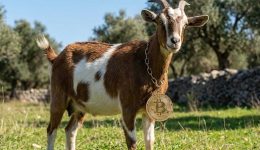 ktinotrofos-me-Bitcoin-sta-trikala-2