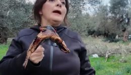 lefkada-dio-nei-zontanevoun-tin