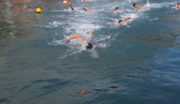 lefkada-theofania-bofor-ke-kakokeria-akironoun