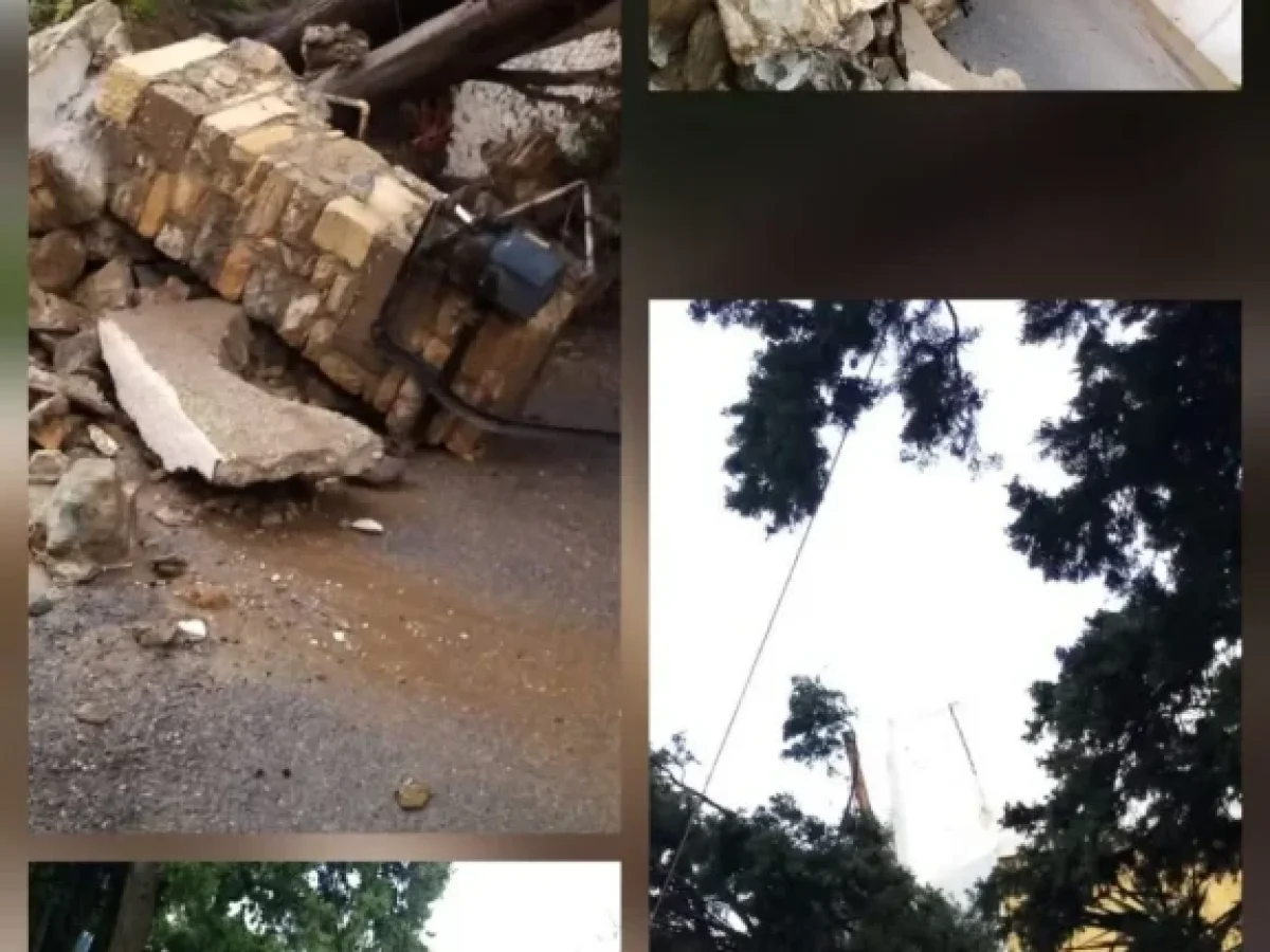 Λέρος – Προσοχή: Πτώσεις και ξεριζώματα δέντρων από τους ισχυρούς ανέμους