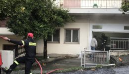 lesvosfotia-se-kafstira-pellet-stin