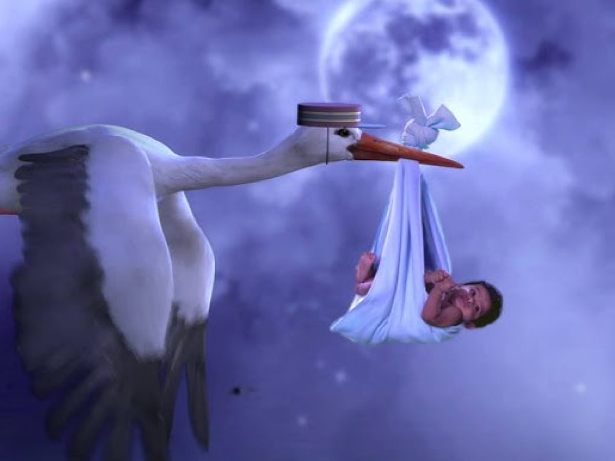 Λέσβος:Θηλυκό ποδαρικό για το 2026