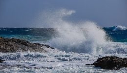 limenarchio-milou-kalounte-oli